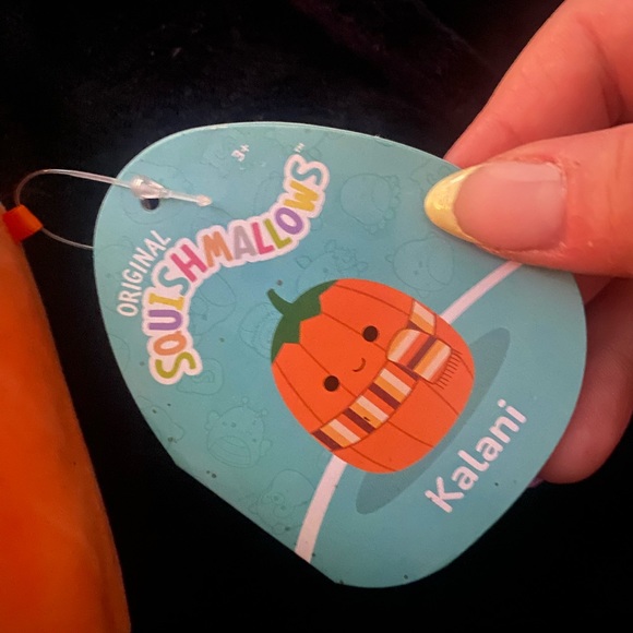 Kalani the Pumpkin squishmallow - Picture 3 of 3